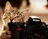 Как научиться фотографировать: пошаговая инструкция от Nikon