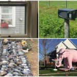 35 снимков от тех, кому повезло с соседями. С такими не соскучишься!