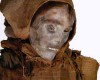 Таримские мумии скрывают секреты 2000 летней давности