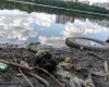 В Екатеринбурге в Городском пруде найден человеческий череп