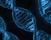 Ученые удалили из ДНК человека ген, отвечающий за заболевание