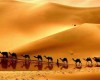 Почему в колодцах посреди пустыни всегда была вода?