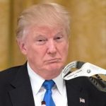 Трамп напомнил о праве президента на помилование